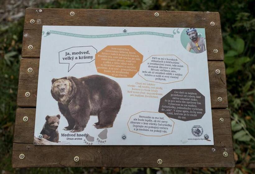 Общежитие Chata Magurka