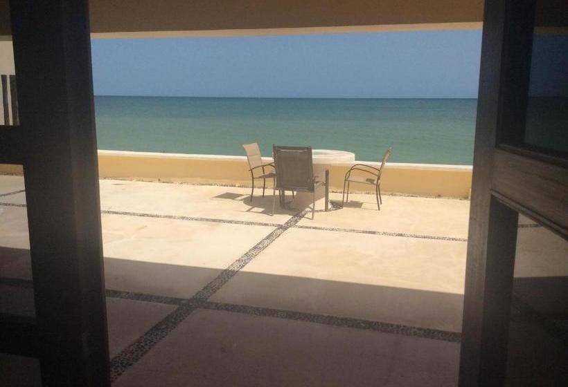 فندق صغير Flamingos Inn