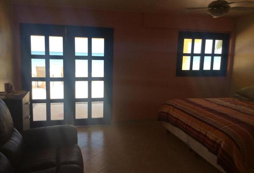 فندق صغير Flamingos Inn