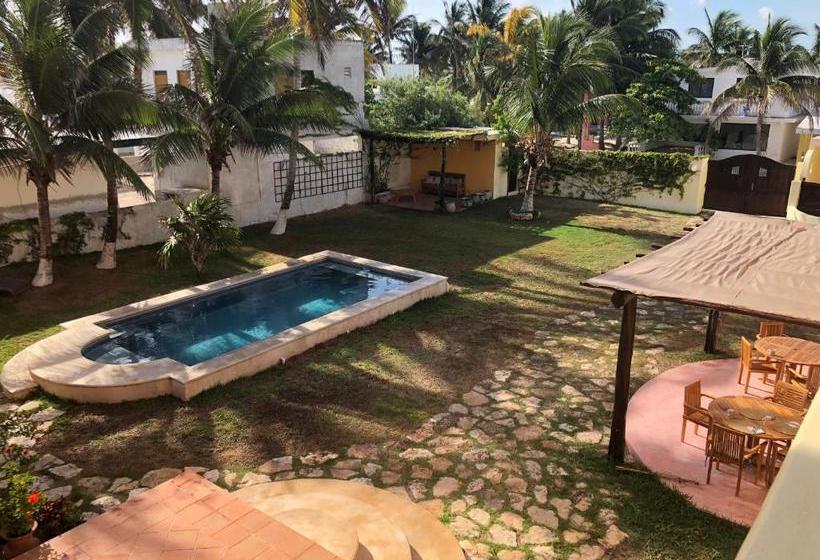 فندق صغير Flamingos Inn