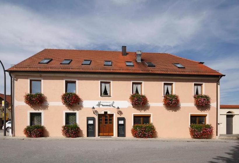 Общежитие Gasthaus Hummel