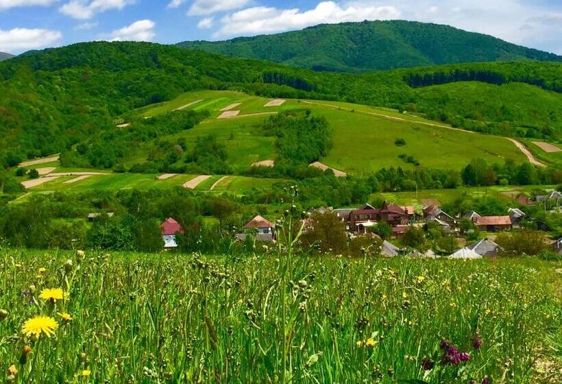 Общежитие Minihotel Zolotoe Runo