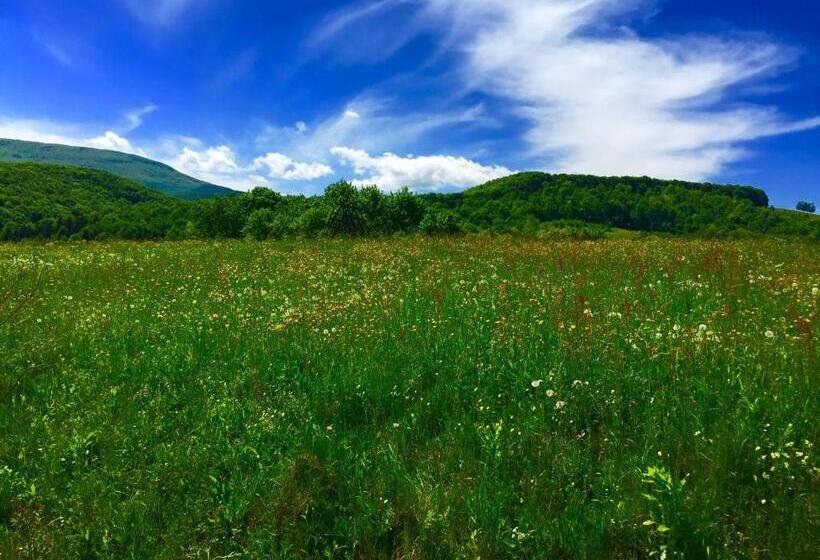 Общежитие Minihotel Zolotoe Runo