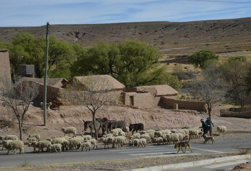 Общежитие Posada Tika, Yavi