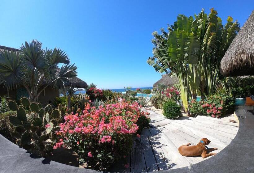 호스텔 Samora Luxury Resort