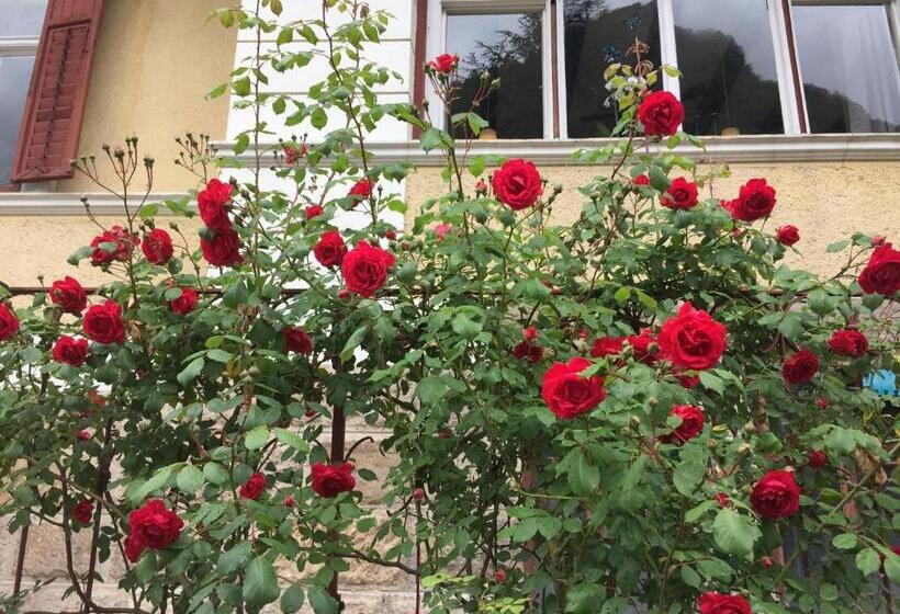 호스텔 Vintage Castle Schlosshof B&b