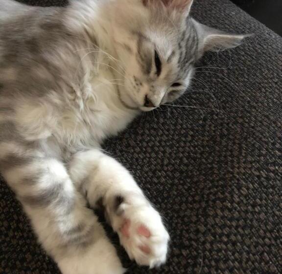 Bed and Breakfast Restaurant Et Chambres D Hôtes Le Chermignon