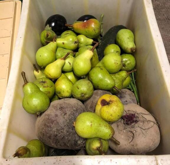 Bed and Breakfast Restaurant Et Chambres D Hôtes Le Chermignon