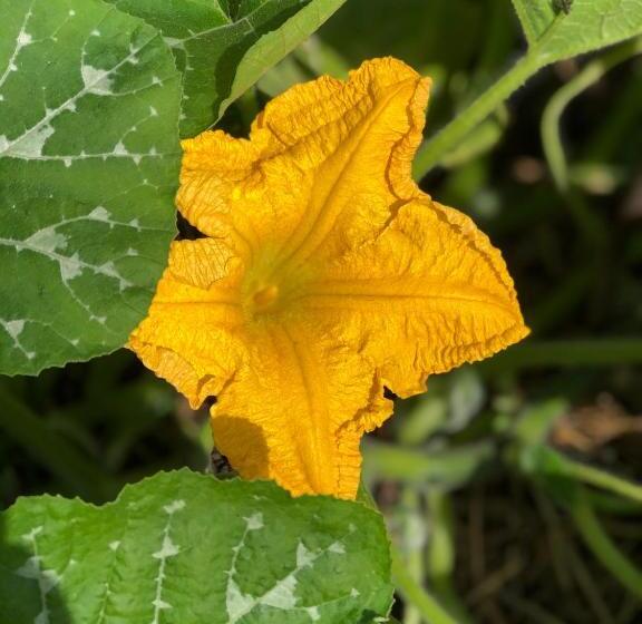 Bed and Breakfast Restaurant Et Chambres D Hôtes Le Chermignon