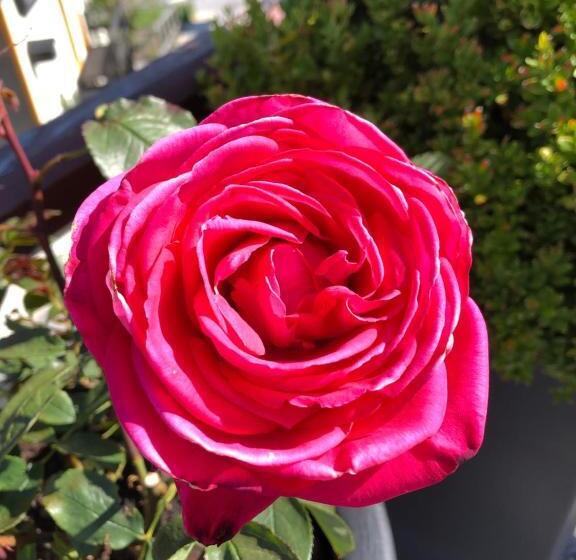 Bed and Breakfast Restaurant Et Chambres D Hôtes Le Chermignon