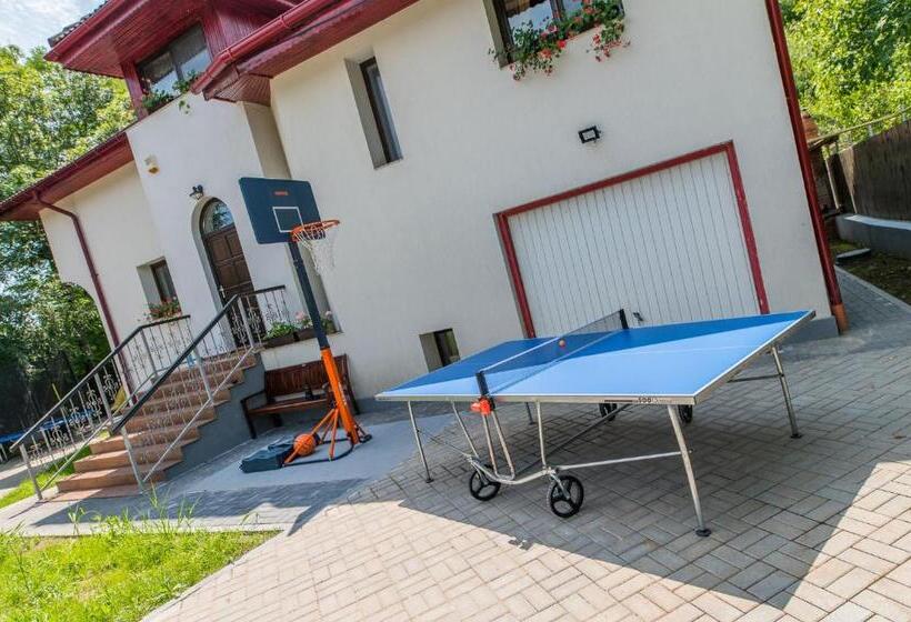 צימר Casa Din Plai