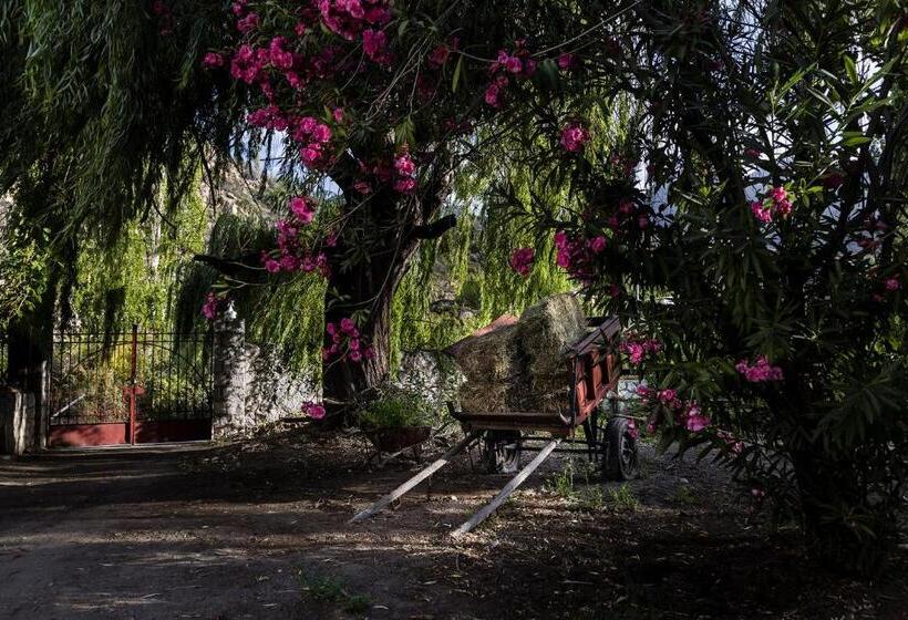 צימר Casona El Resguardo   Solo Adultos