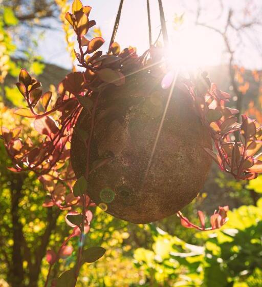 צימר Casona El Resguardo   Solo Adultos