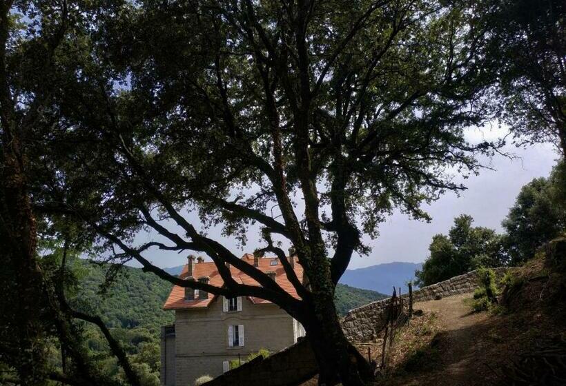 مبيت وإفطار Chatelet De Campo