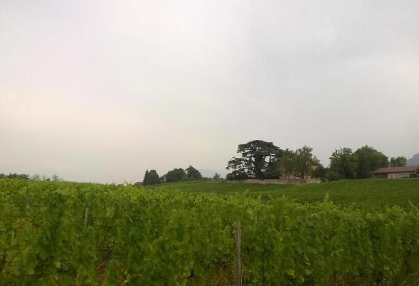 Bed and Breakfast Château La Violette