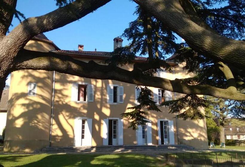 Bed and Breakfast Château La Violette