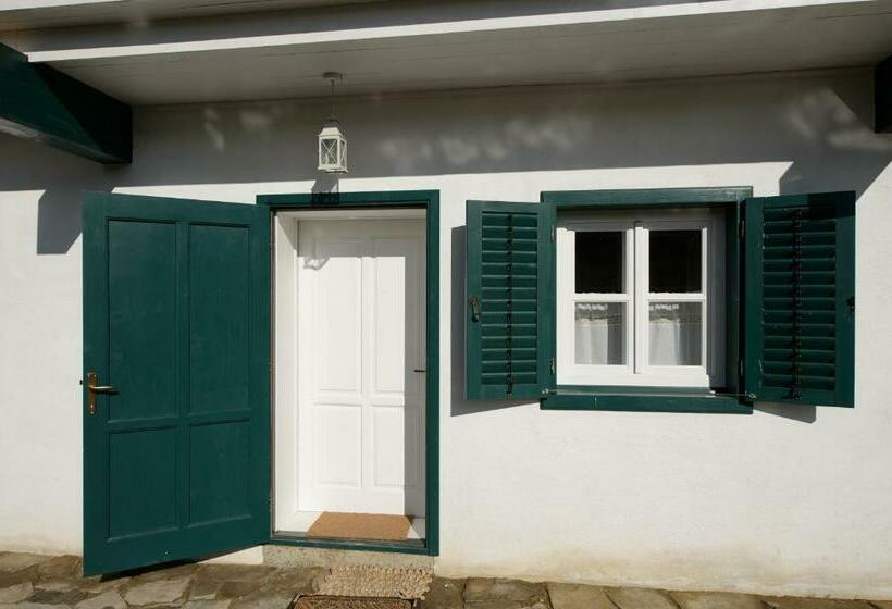 住宿加早餐  Cloasterf Haus