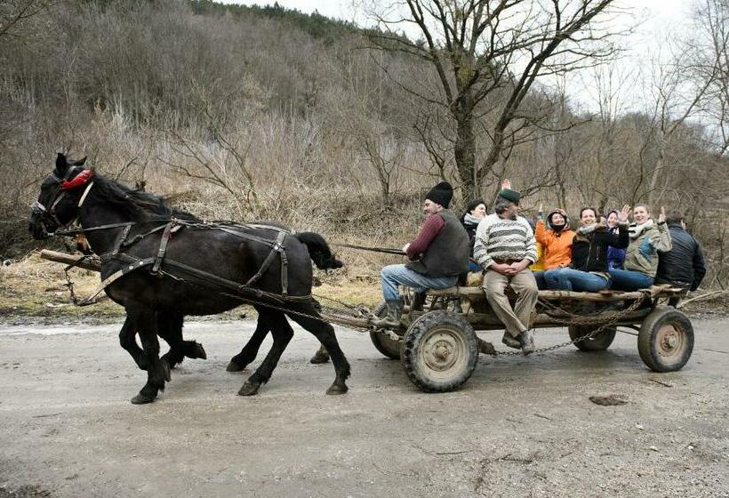 住宿加早餐  Cloasterf Haus