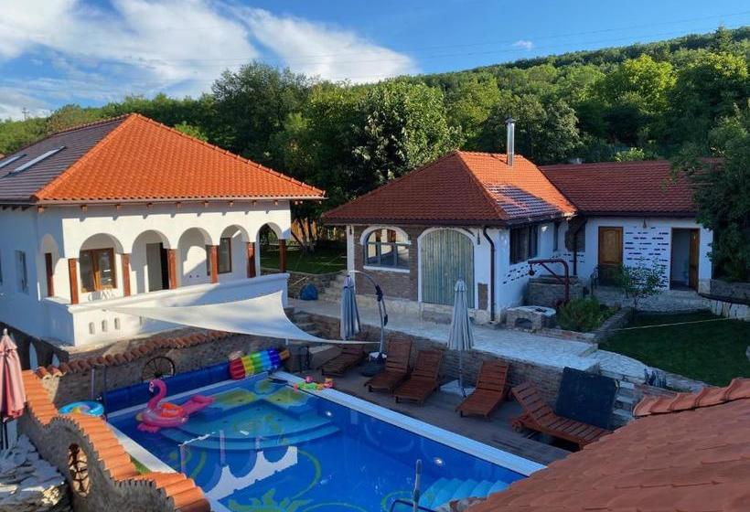 住宿加早餐  Conacul Grigorescu