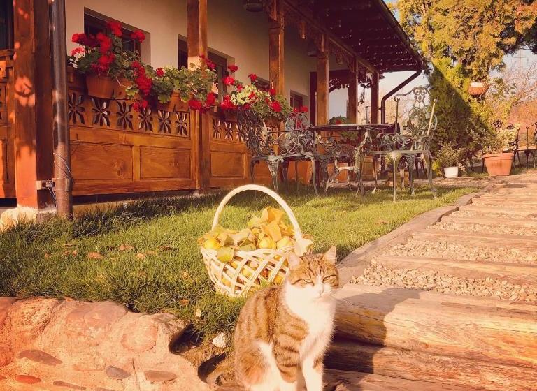 住宿加早餐  Conacul Grigorescu