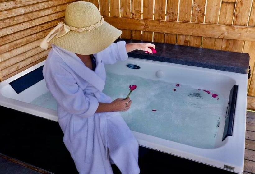 ベッドアンドブレックファースト Le Volcan Des Sens, Chambres D Hotes De Luxe Et Spa