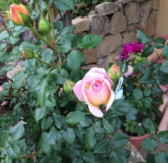 مبيت وإفطار Mona S Sleep & Go