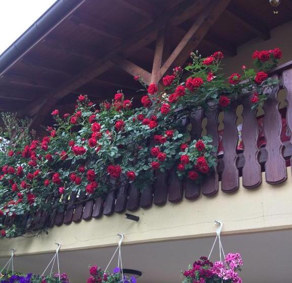 צימר Mona S Sleep & Go