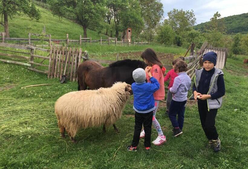 Bed and Breakfast Pensiunea Silvanka