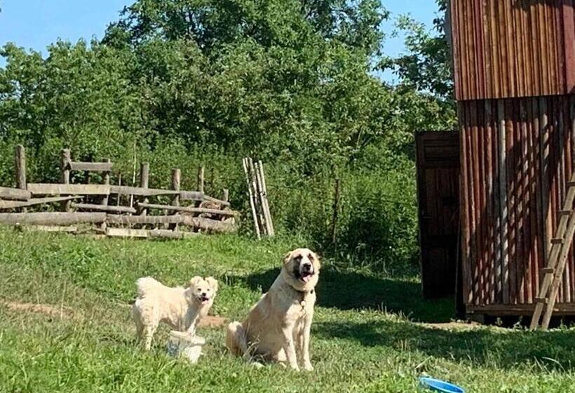 צימר Pensiunea Silvanka