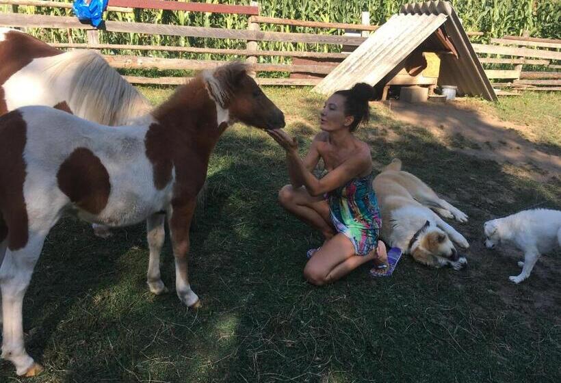 צימר Pensiunea Silvanka