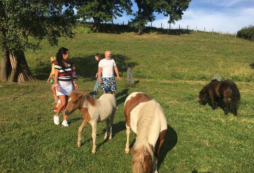 Bed and Breakfast Pensiunea Silvanka