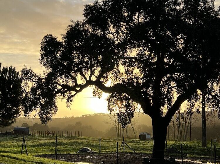 مبيت وإفطار Quinta Da Varzea