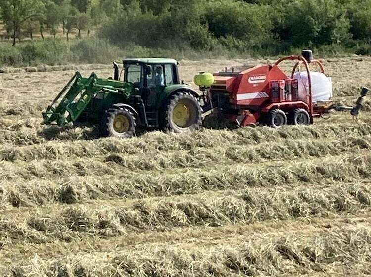 مبيت وإفطار Quinta Da Varzea