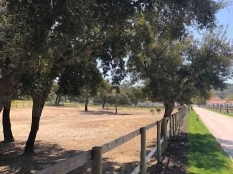 مبيت وإفطار Quinta Da Varzea