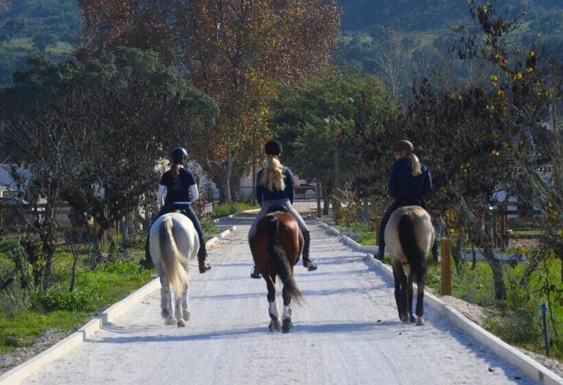 مبيت وإفطار Quinta Da Varzea