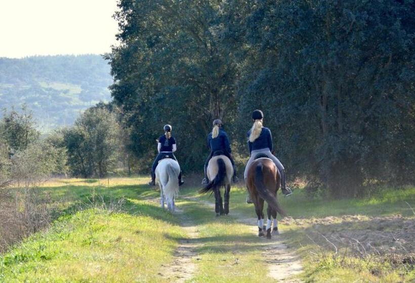 مبيت وإفطار Quinta Da Varzea