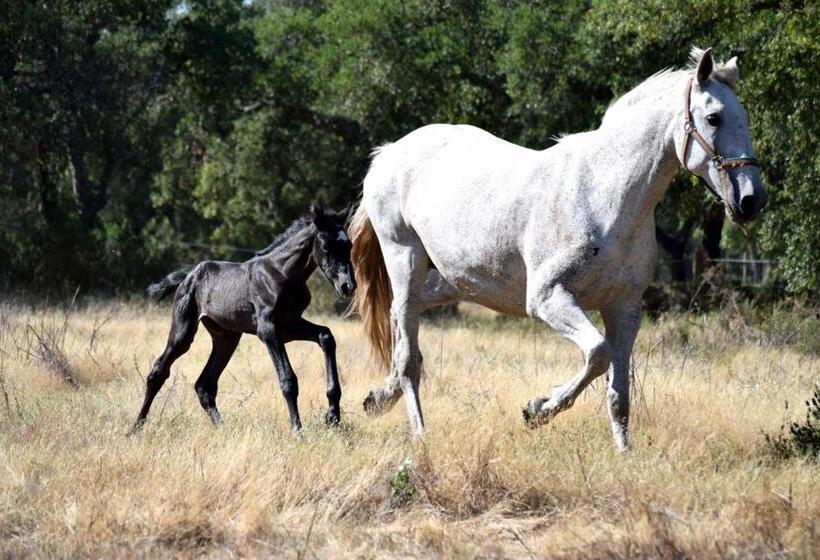 مبيت وإفطار Quinta Da Varzea