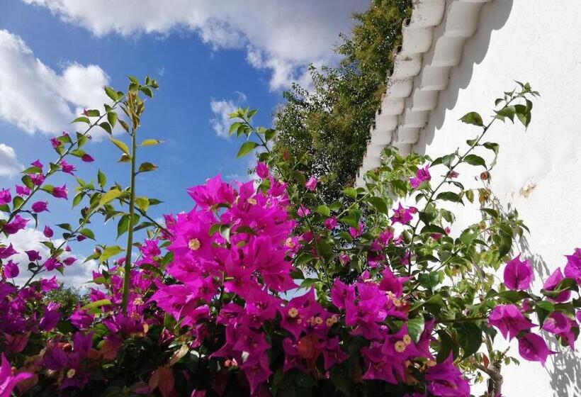 مبيت وإفطار Quinta Da Varzea