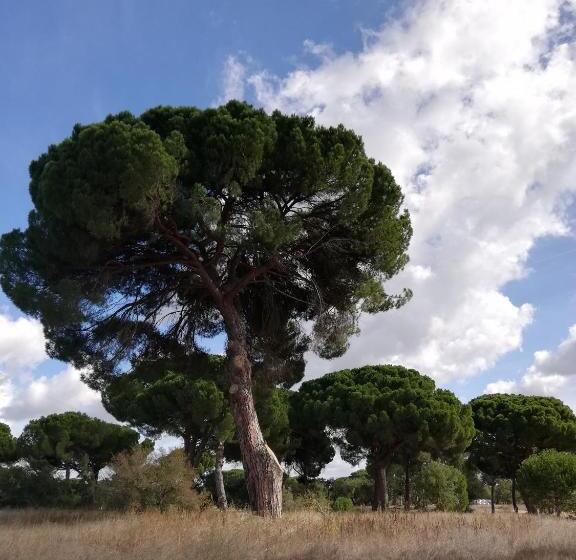 مبيت وإفطار Quinta Da Varzea