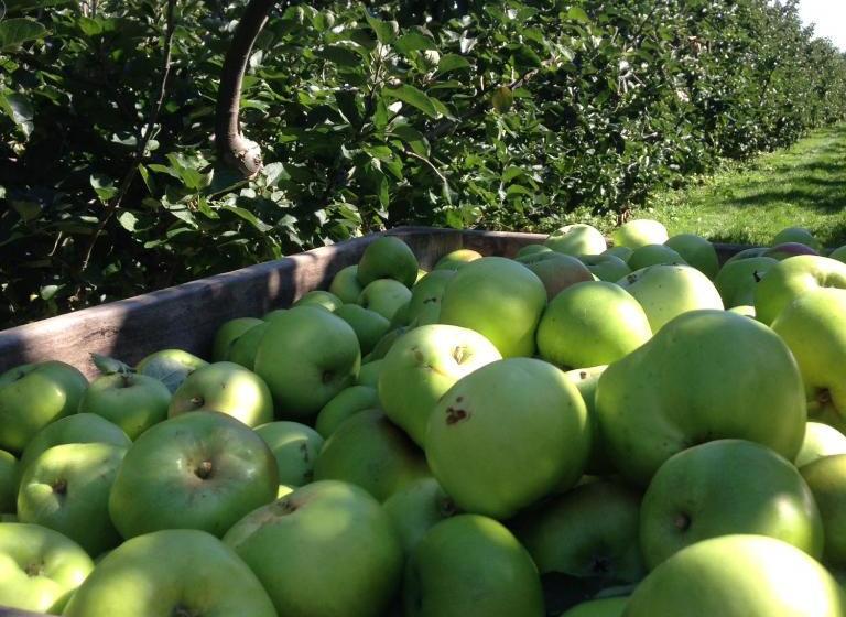 Church Farm B&b Suffolk