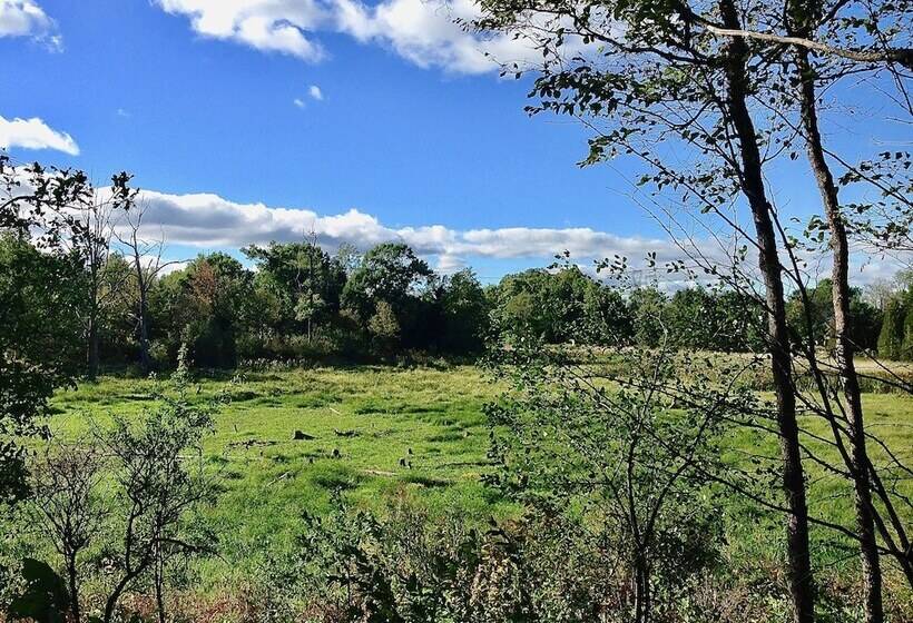 Harlem Stonegate B&b