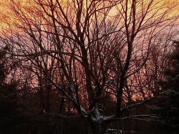 Harlem Stonegate B&b