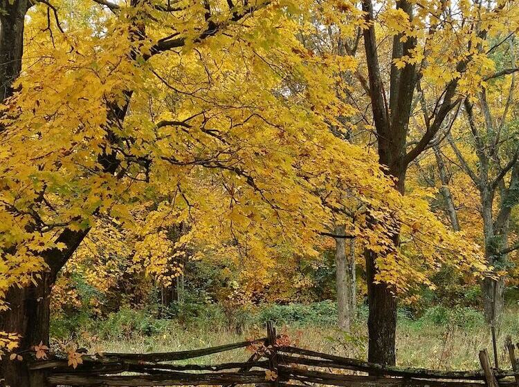 Harlem Stonegate B&b