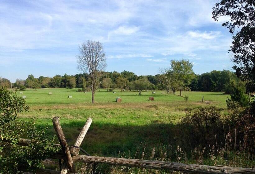 Harlem Stonegate B&b