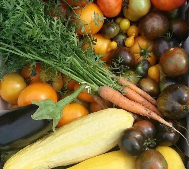 Harlem Stonegate B&b