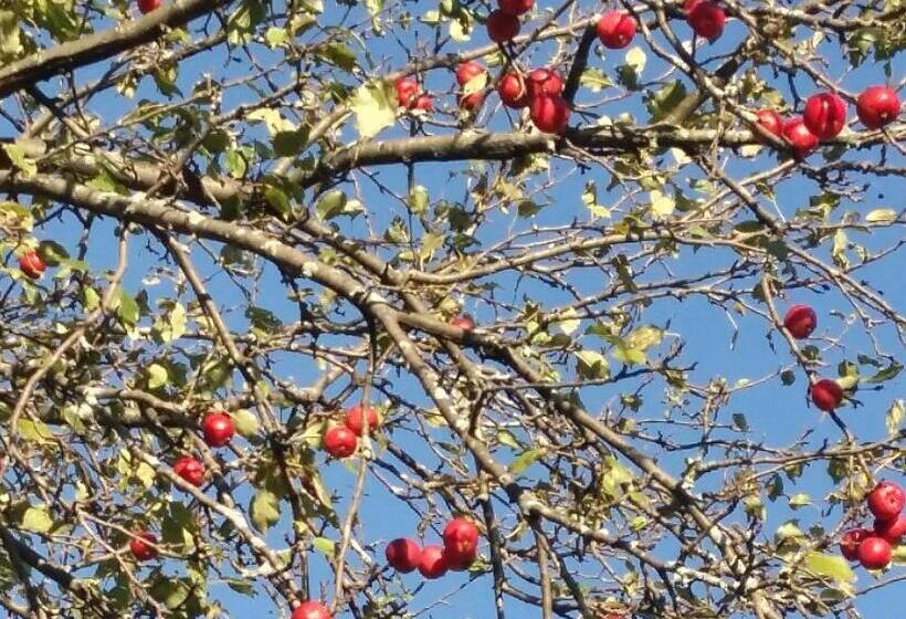 Harlem Stonegate B&b