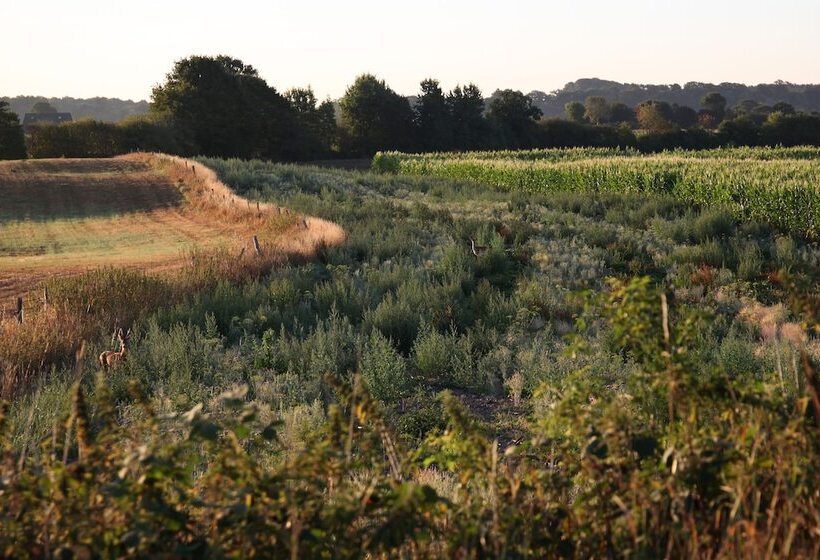 בית מלון כפרי Antik Hof Bissee