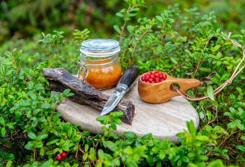 בית מלון כפרי Arctic River Lodge