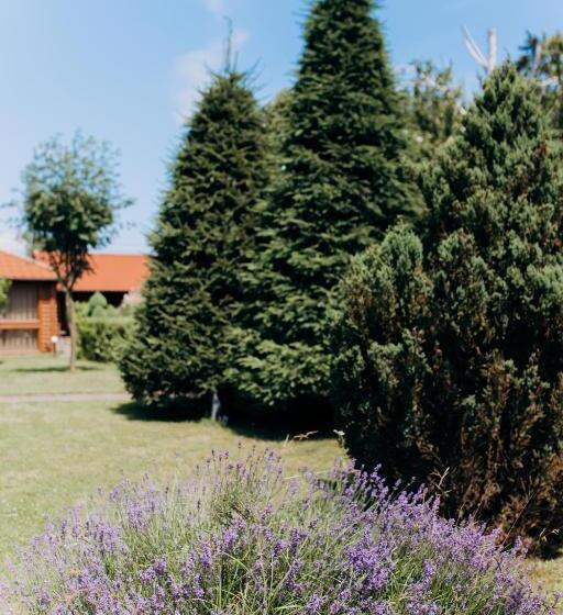 Отель Arta City