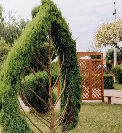 Отель Arta City